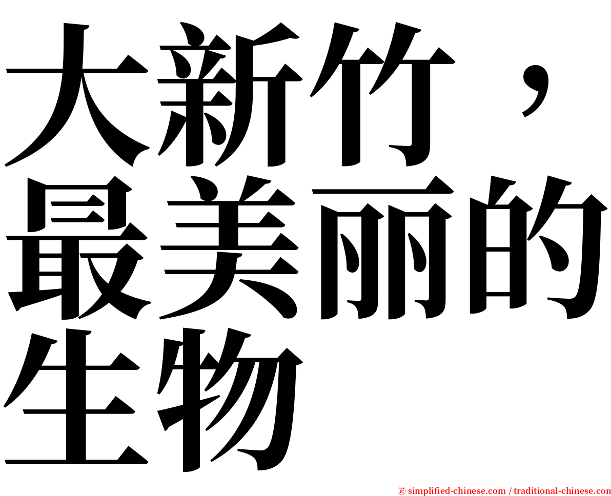 大新竹，最美丽的生物 serif font