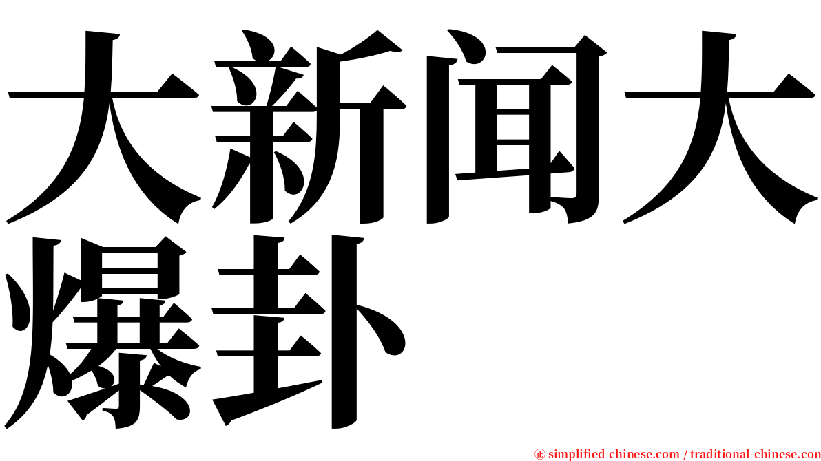 大新闻大爆卦 serif font