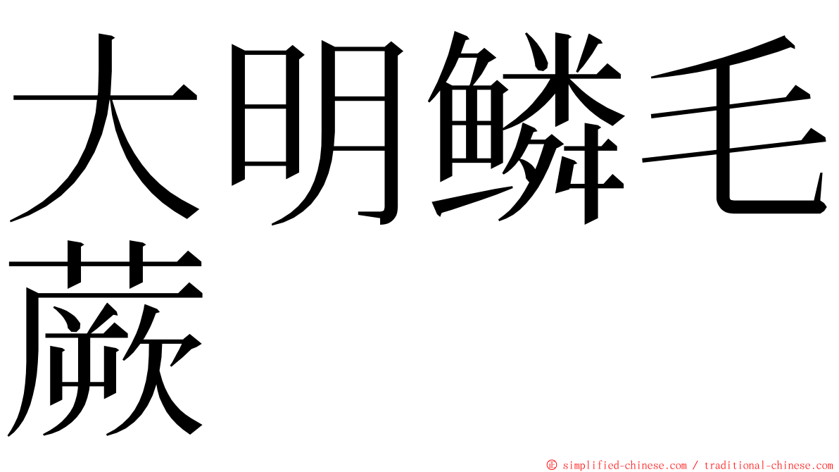 大明鳞毛蕨 ming font