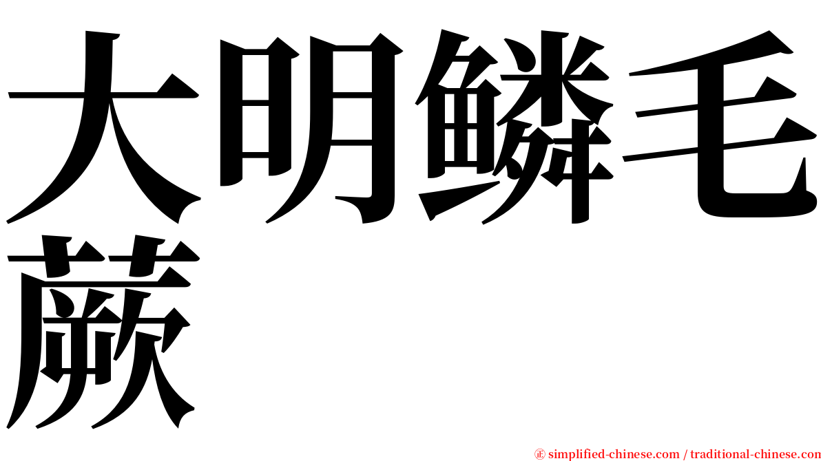 大明鳞毛蕨 serif font