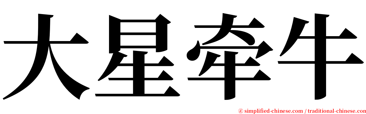 大星牵牛 serif font