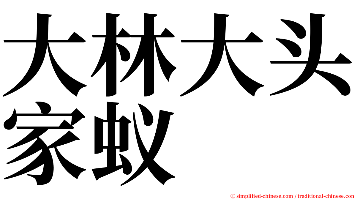 大林大头家蚁 serif font