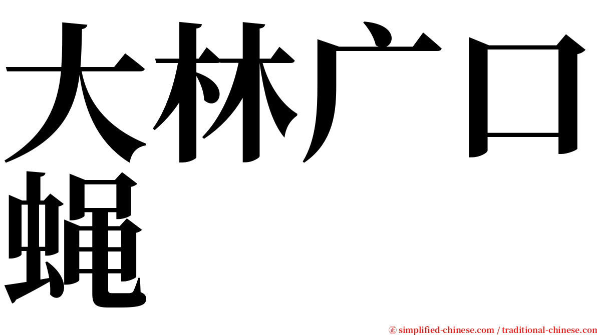 大林广口蝇 serif font