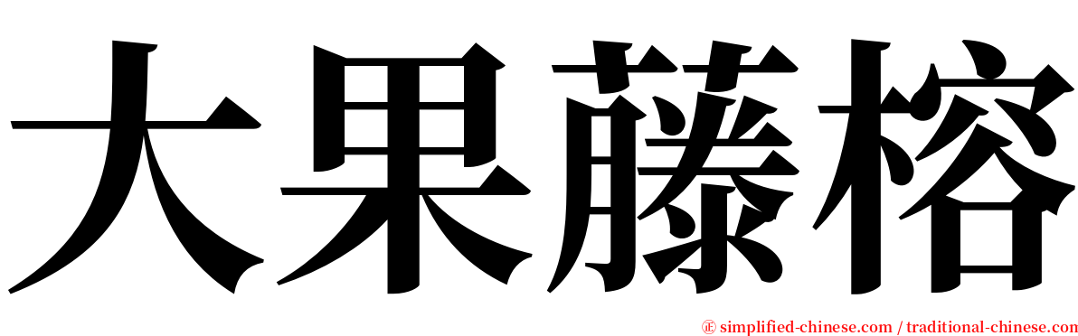 大果藤榕 serif font