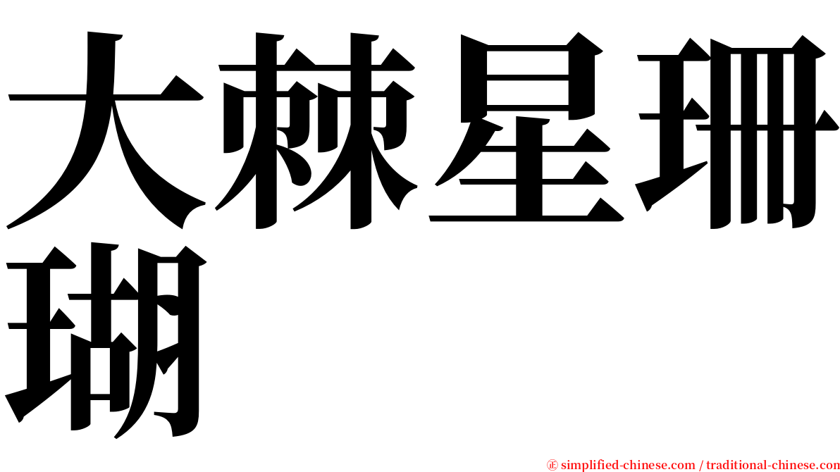 大棘星珊瑚 serif font