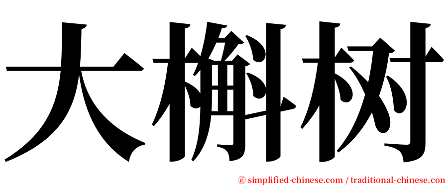 大槲树 serif font