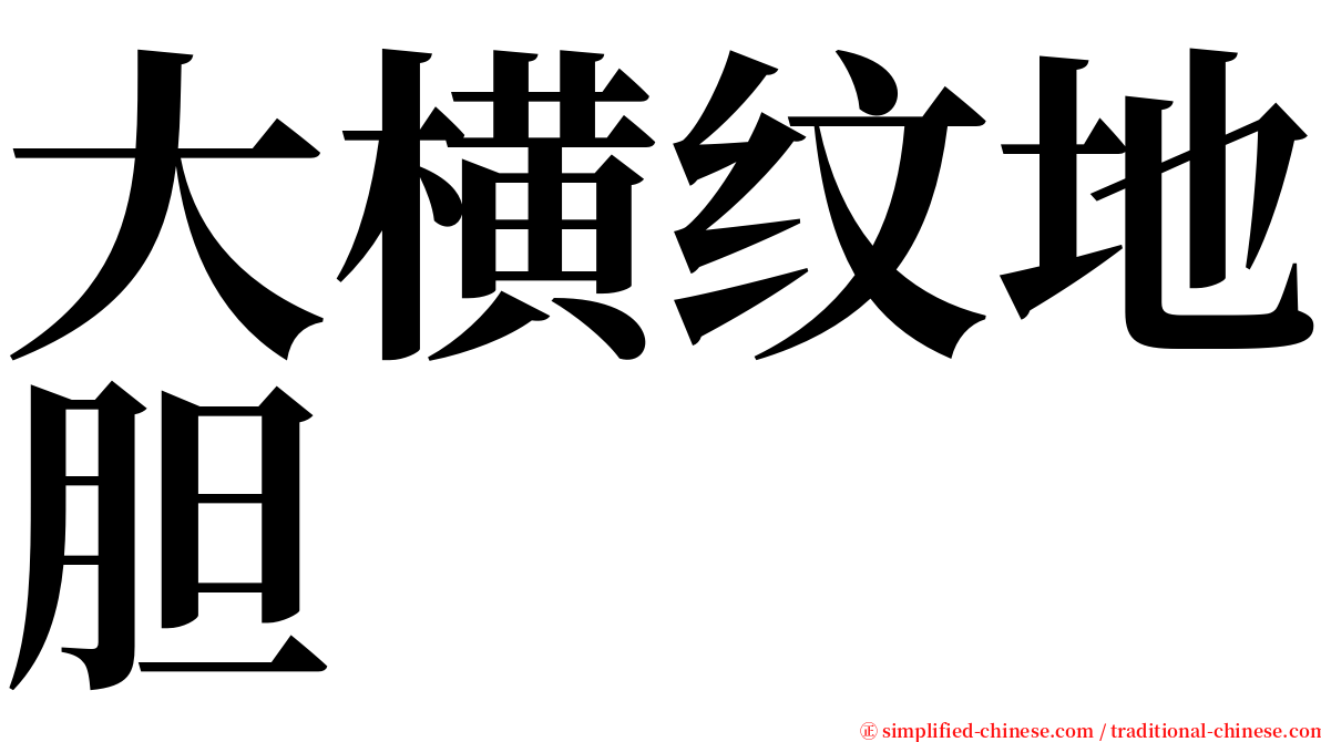 大横纹地胆 serif font