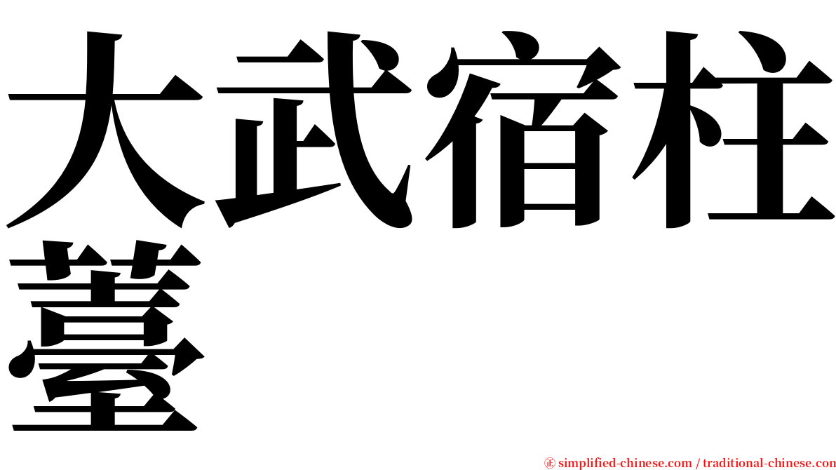 大武宿柱薹 serif font