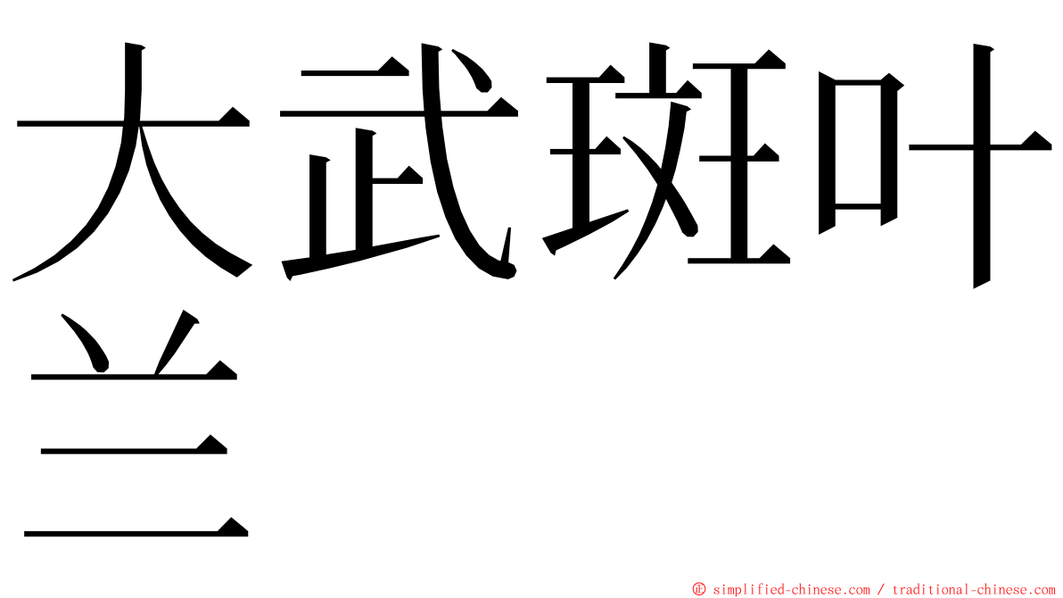 大武斑叶兰 ming font