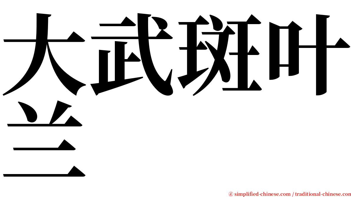 大武斑叶兰 serif font