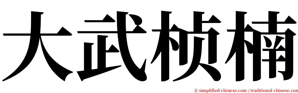 大武桢楠 serif font