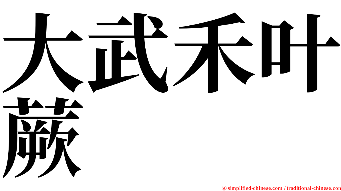 大武禾叶蕨 serif font