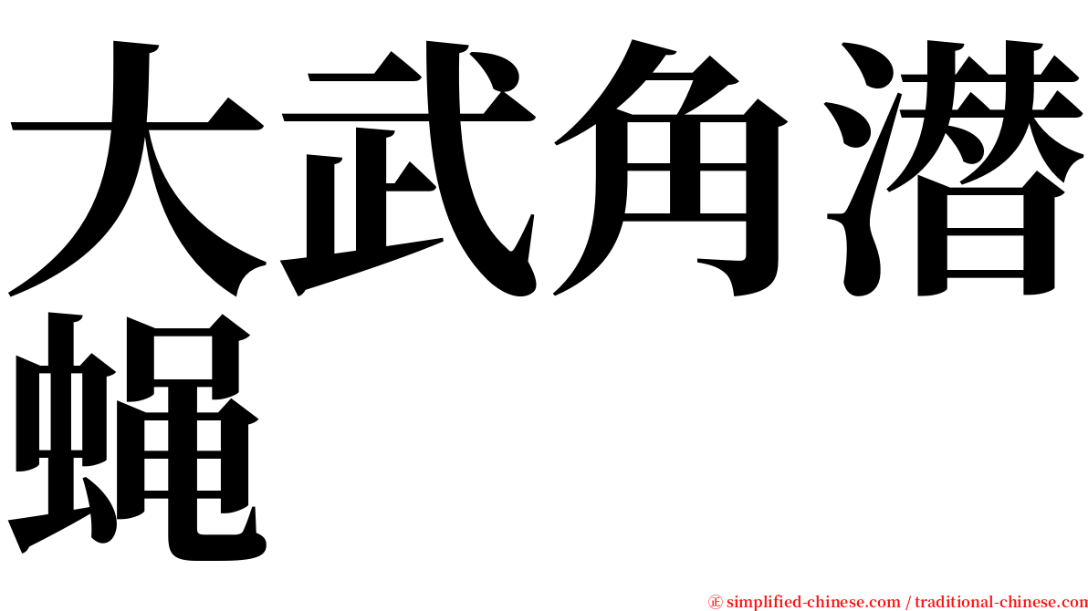 大武角潜蝇 serif font