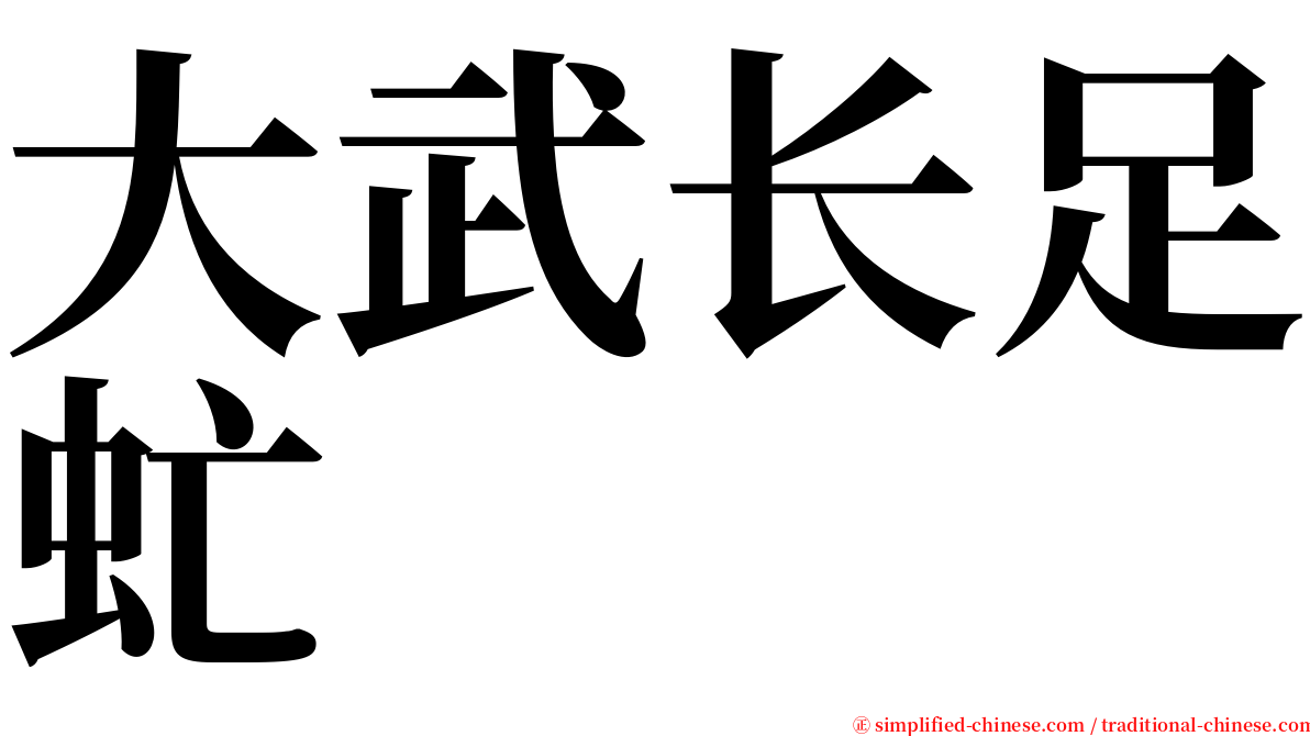 大武长足虻 serif font