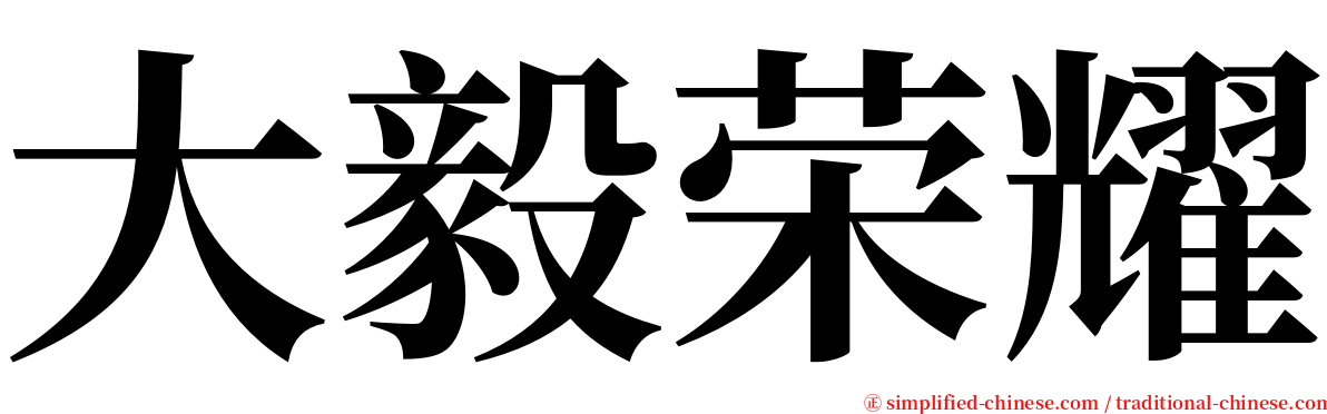 大毅荣耀 serif font