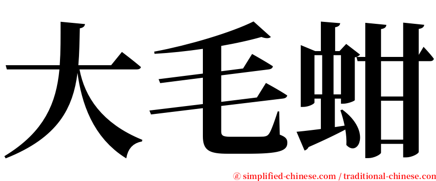 大毛蚶 serif font