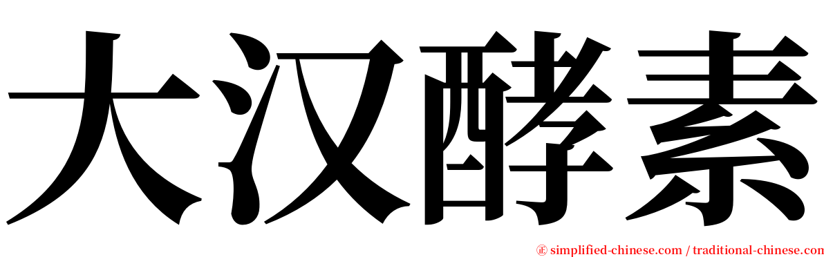 大汉酵素 serif font