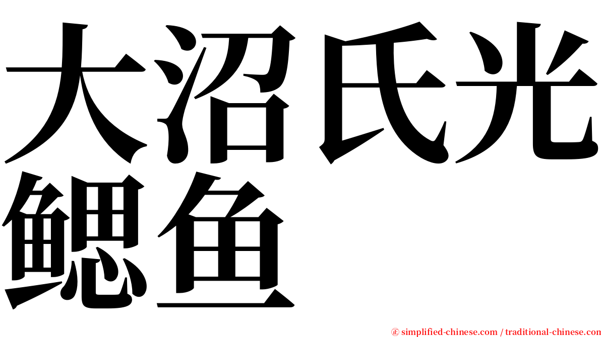 大沼氏光鳃鱼 serif font