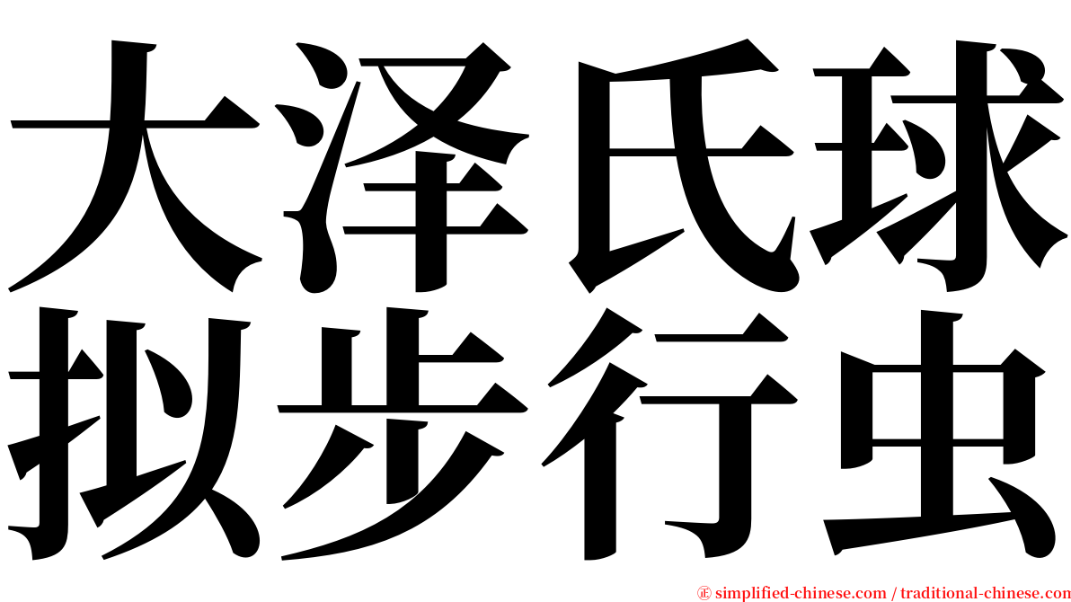 大泽氏球拟步行虫 serif font