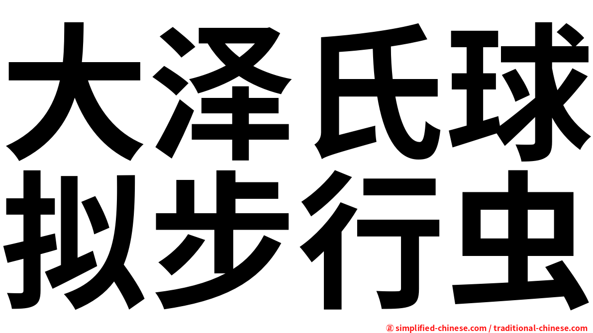 大泽氏球拟步行虫