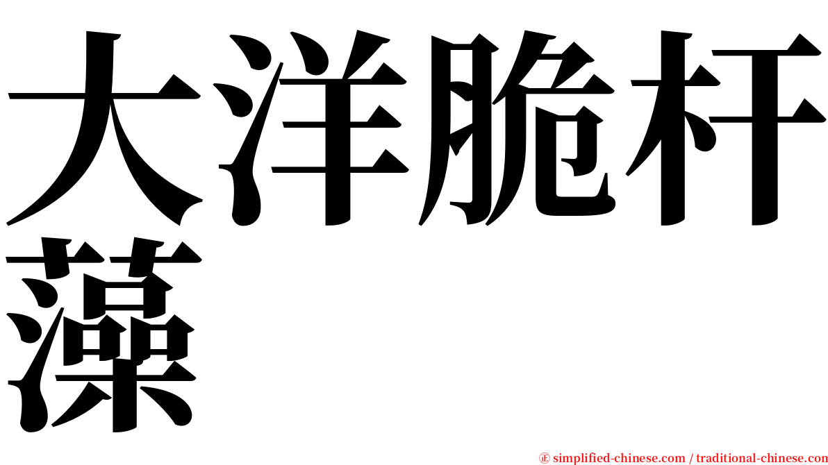 大洋脆杆藻 serif font