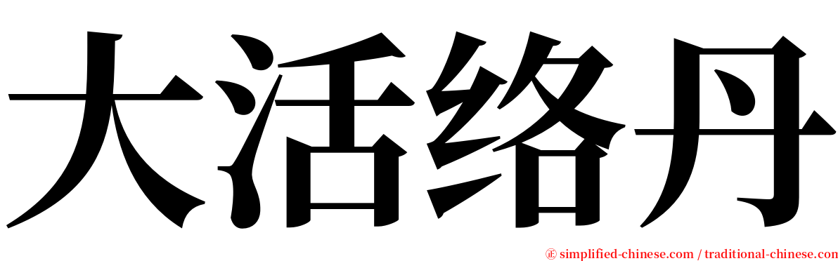 大活络丹 serif font