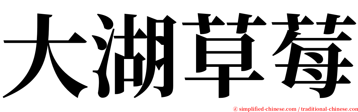 大湖草莓 serif font