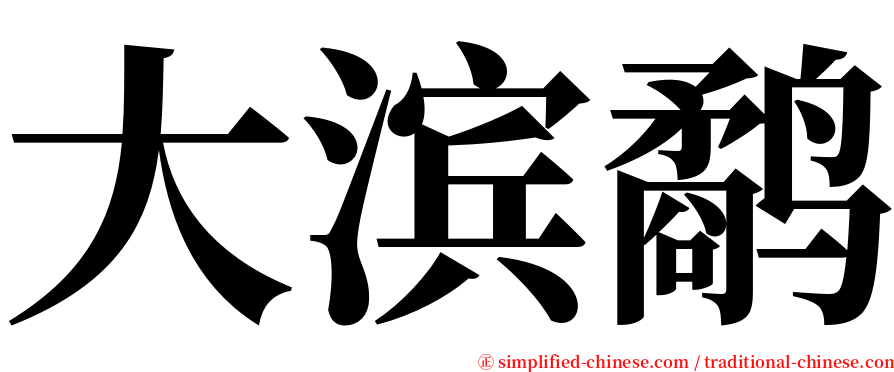 大滨鹬 serif font