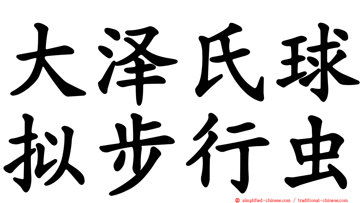 大泽氏球拟步行虫