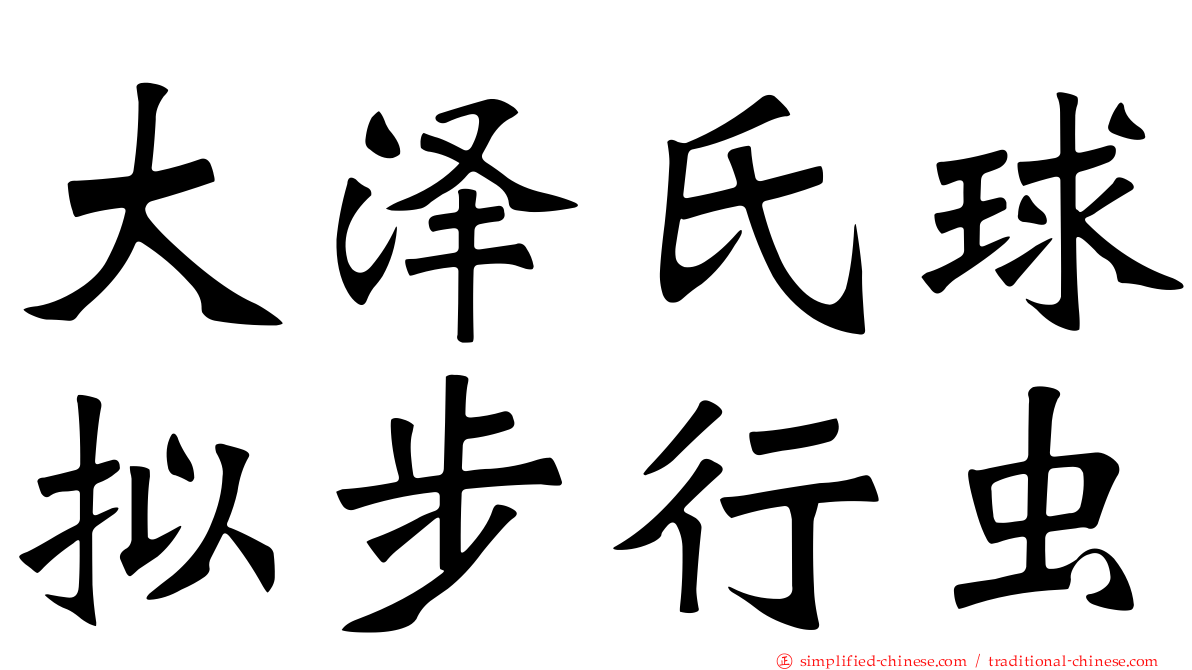 大泽氏球拟步行虫