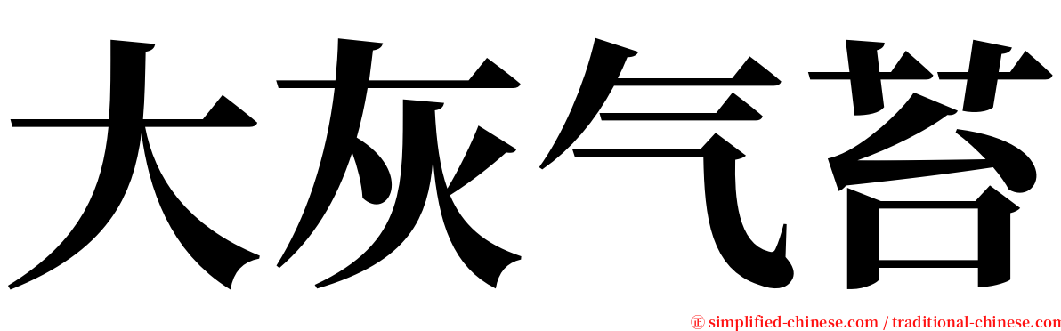 大灰气苔 serif font