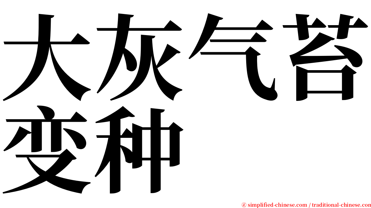 大灰气苔变种 serif font