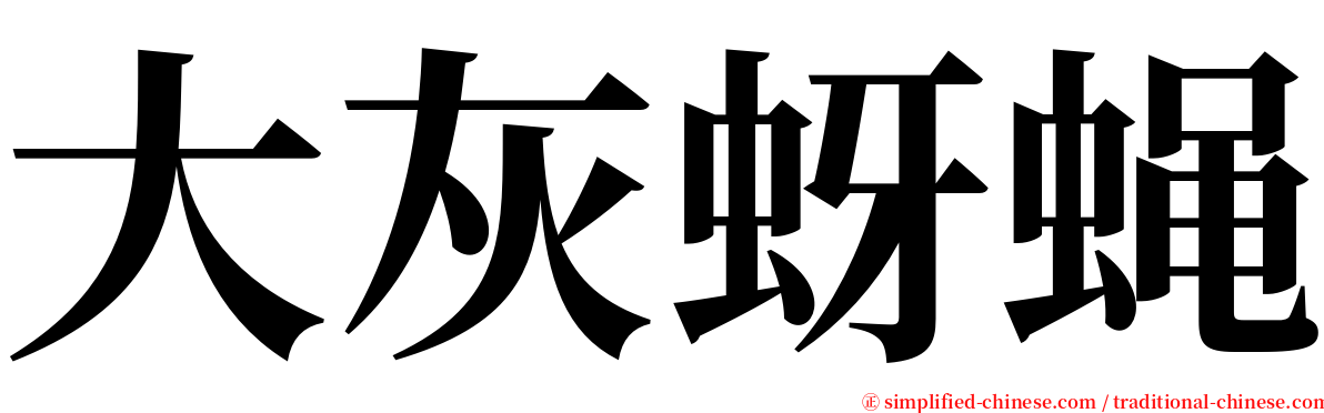 大灰蚜蝇 serif font