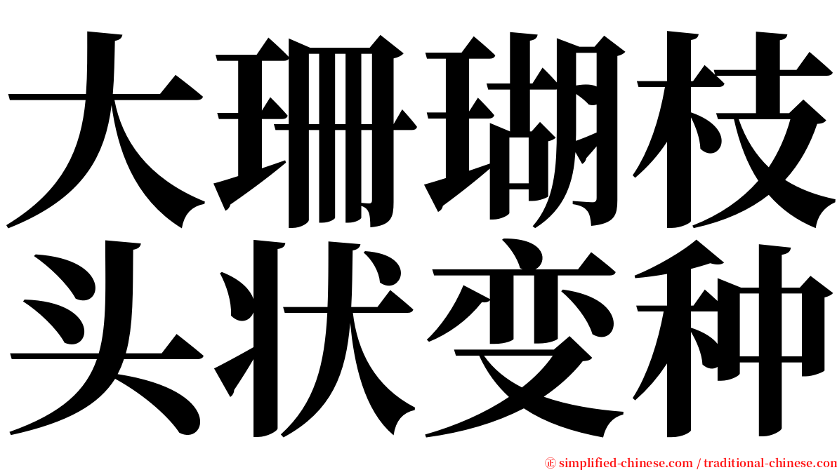 大珊瑚枝头状变种 serif font