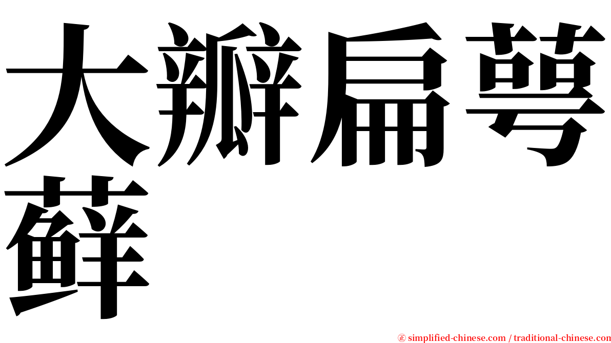 大瓣扁萼藓 serif font