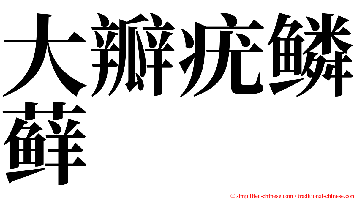 大瓣疣鳞藓 serif font