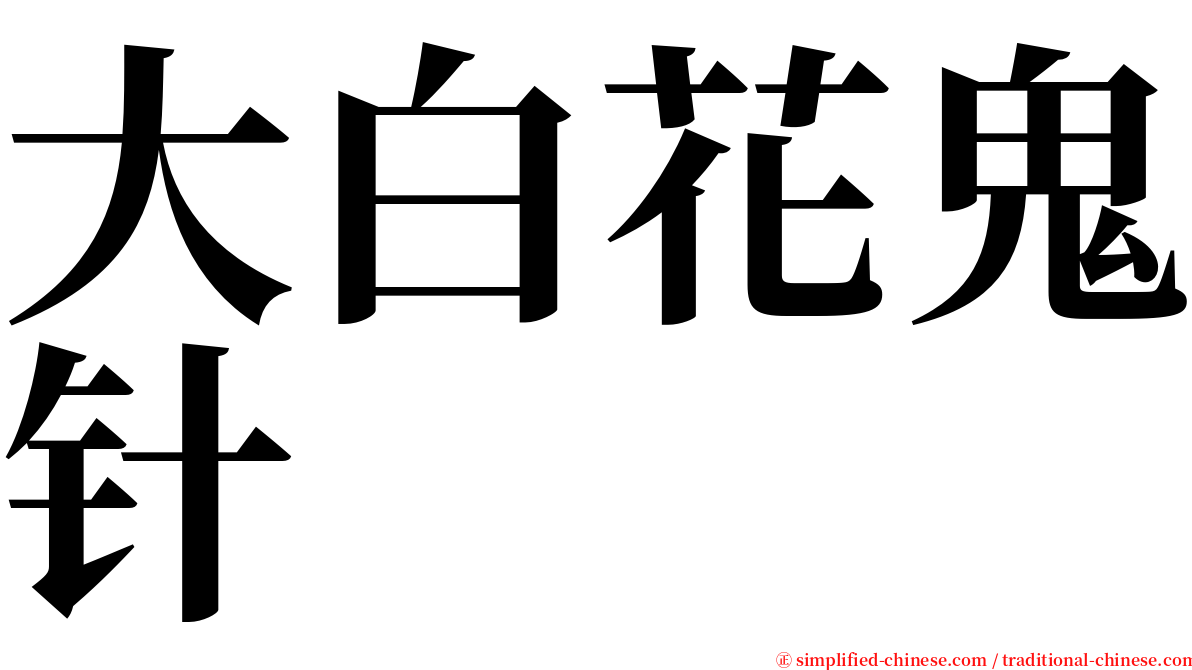 大白花鬼针 serif font