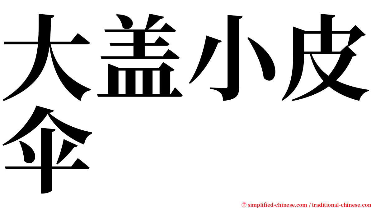 大盖小皮伞 serif font