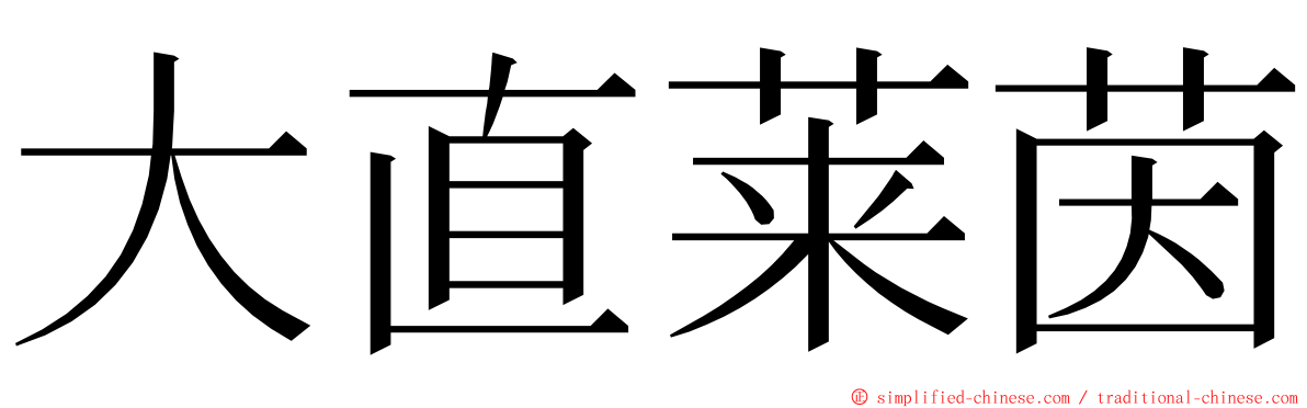 大直莱茵 ming font