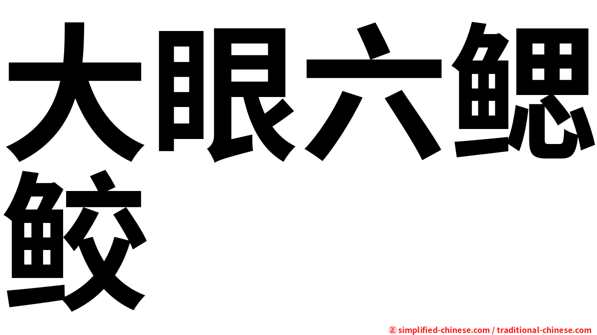 大眼六鳃鲛