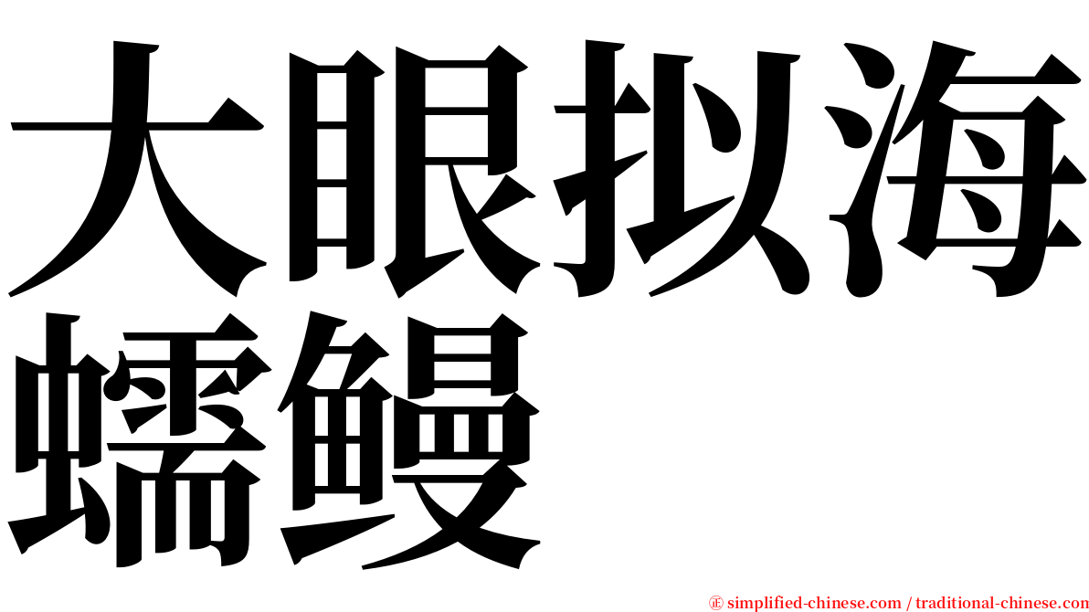 大眼拟海蠕鳗 serif font