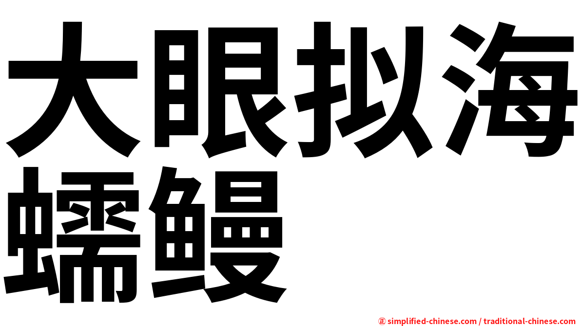 大眼拟海蠕鳗