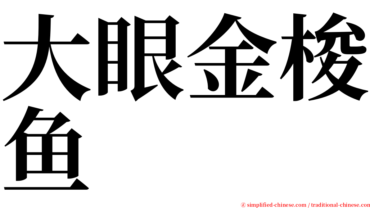 大眼金梭鱼 serif font