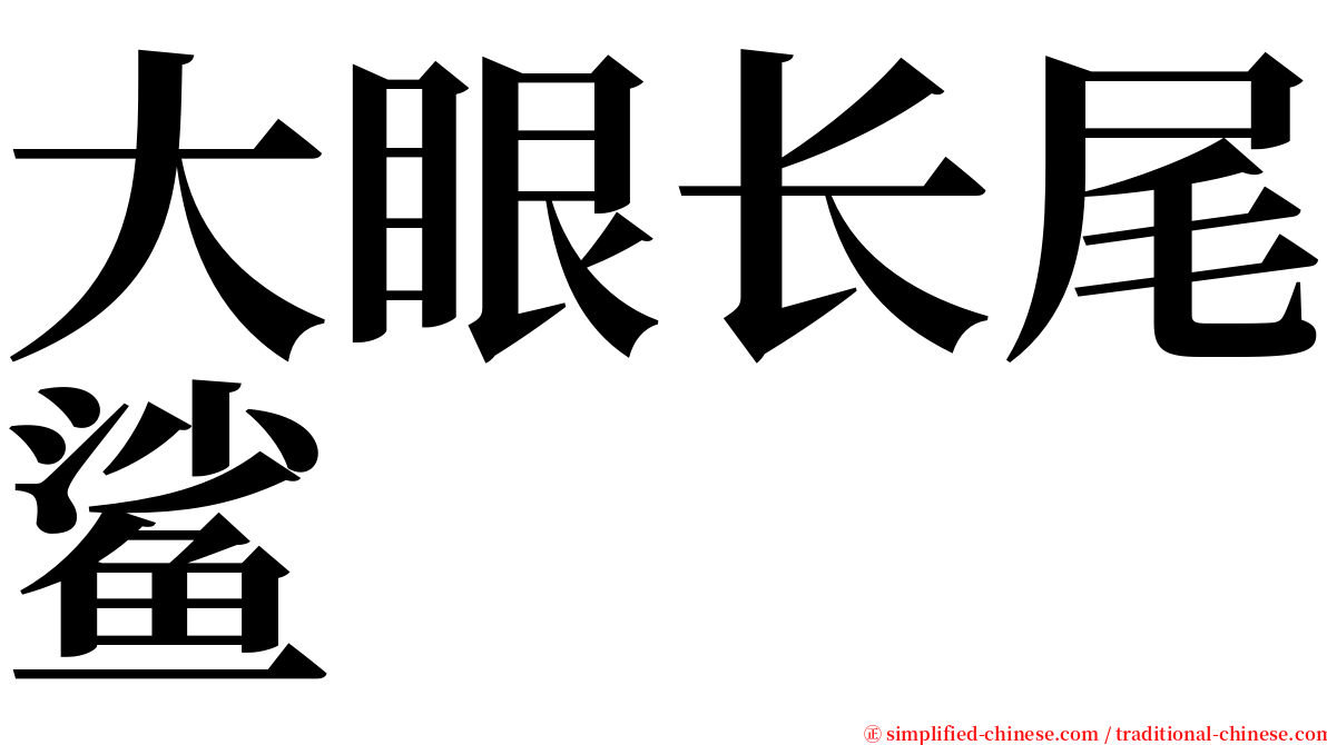 大眼长尾鲨 serif font