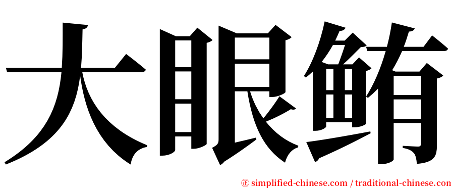 大眼鲔 serif font