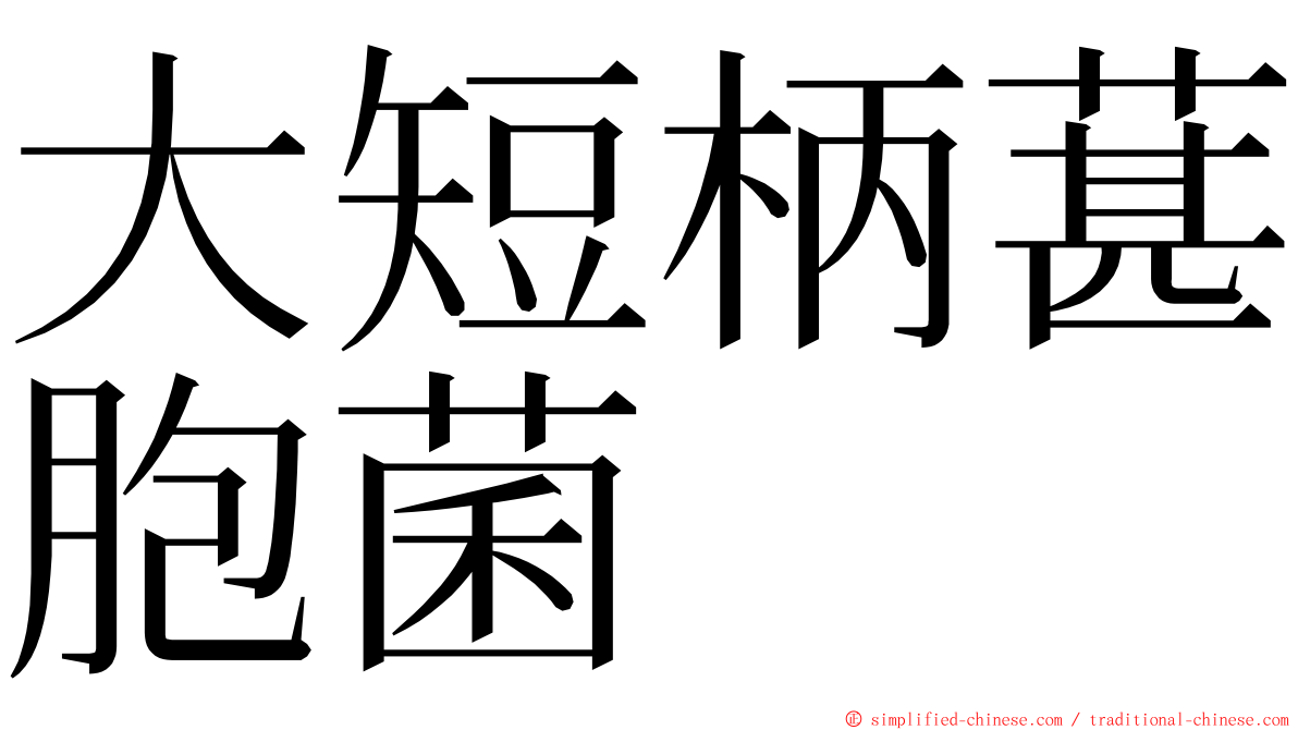 大短柄葚胞菌 ming font