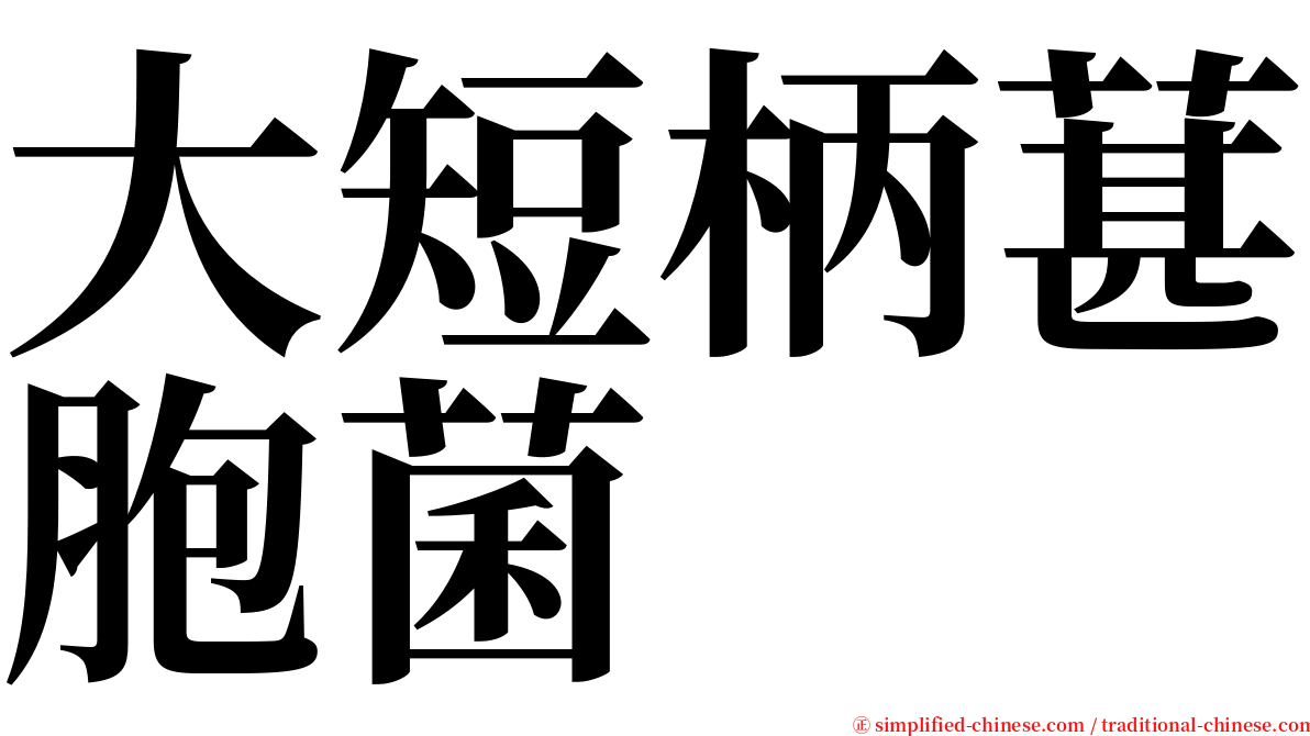 大短柄葚胞菌 serif font