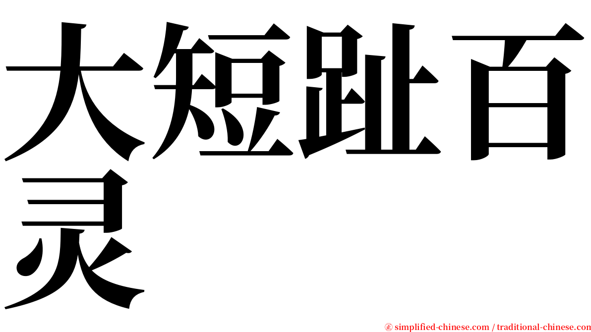 大短趾百灵 serif font