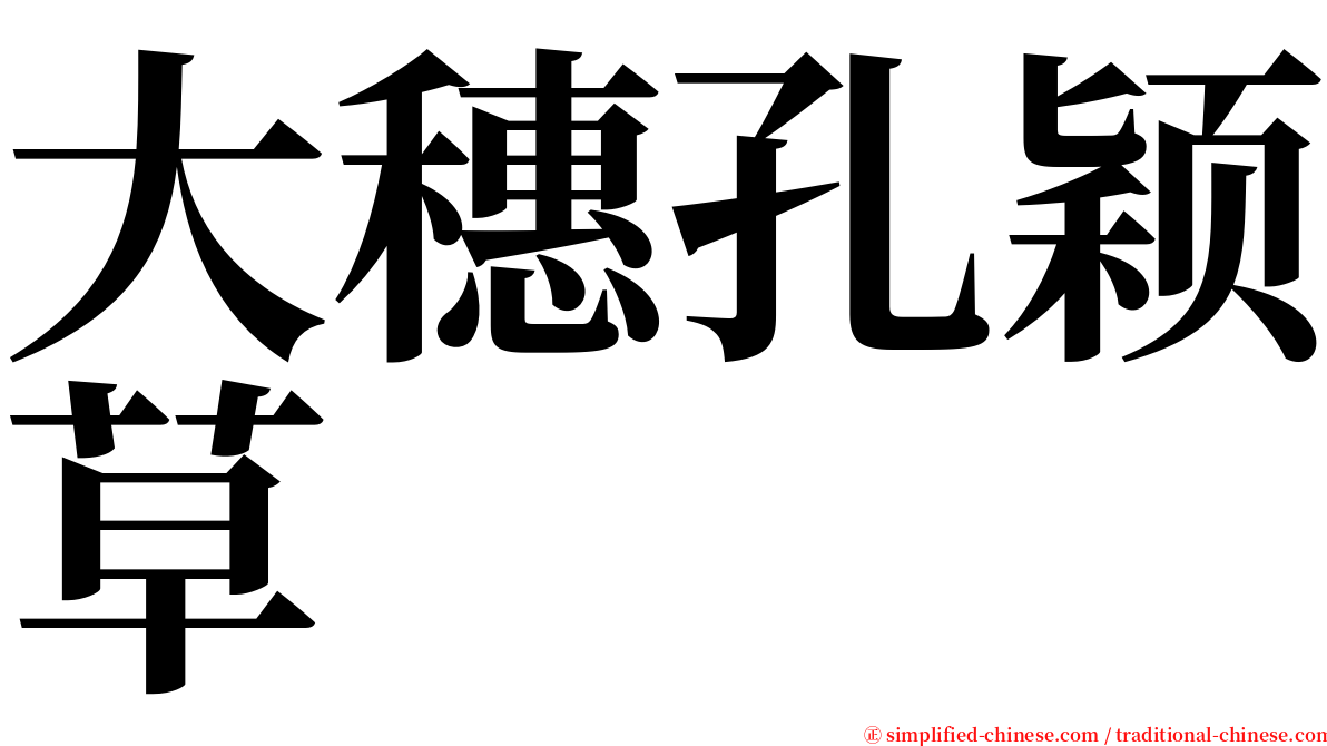 大穗孔颖草 serif font