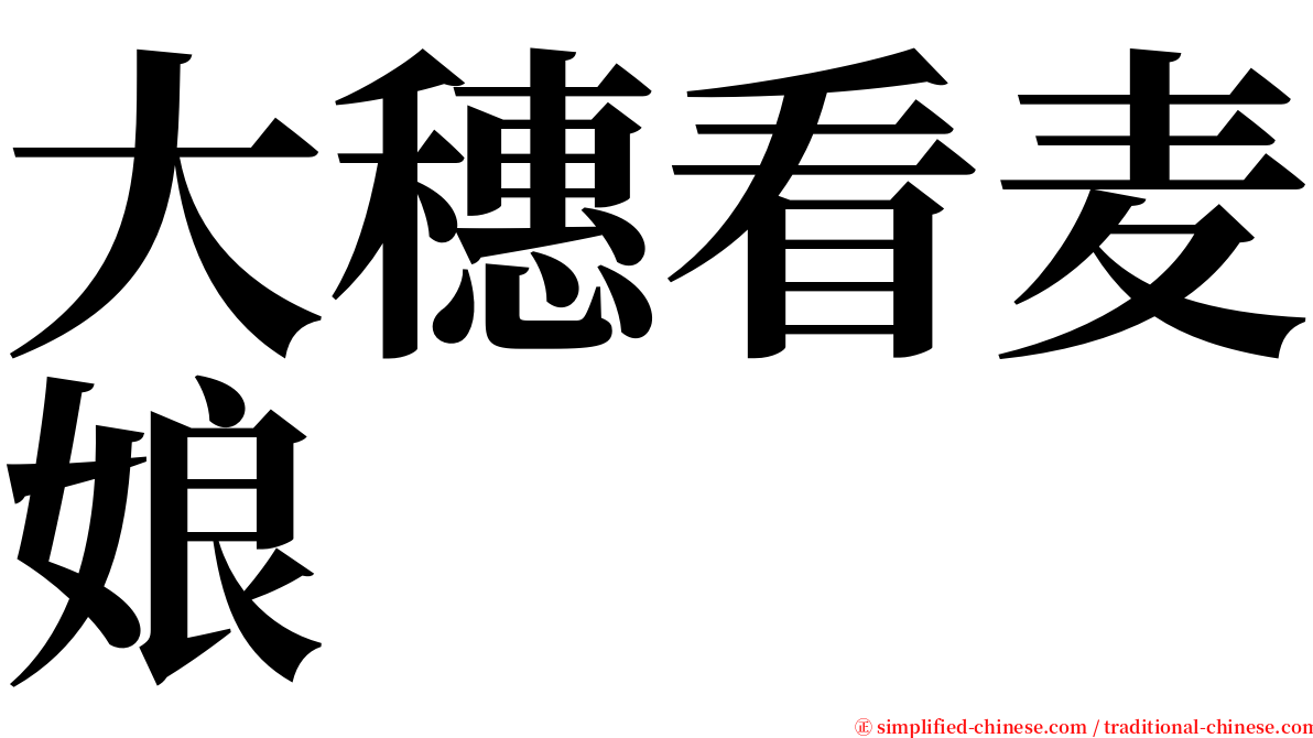 大穗看麦娘 serif font